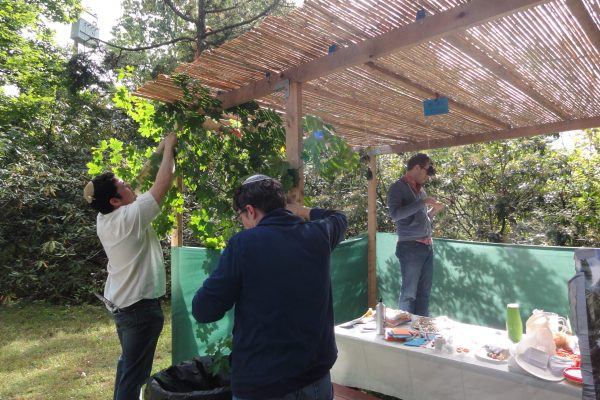 three people building sukkah