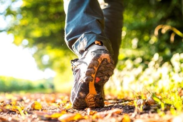 Close-up of a person walking on a sunlit forest path, wearing black hiking shoes and blue pants, surrounded by autumn leaves.
