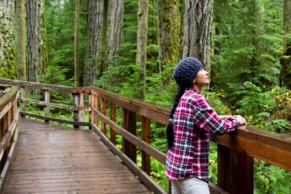 a person stands on a wooden bridge in a forest