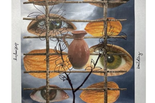 mixed media piece by author with almonds and eyes covered by sticks in a grid pattern and a jug in the middle