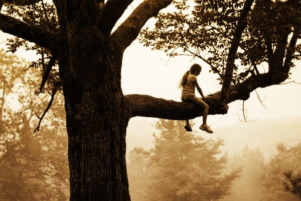 A girl sitting on a large tree branch, surrounded by a foggy forest landscape.