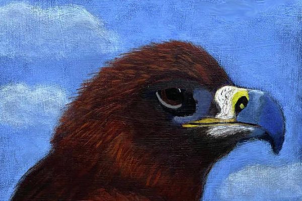 Painting of a brown bird with a blue beak against a blue sky with white clouds.