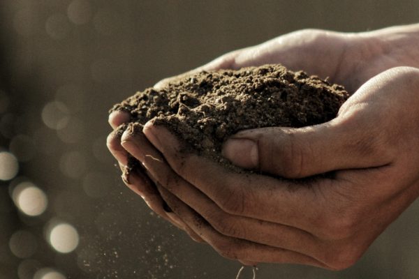 Hands holding a pile of soil, with a blurred background.