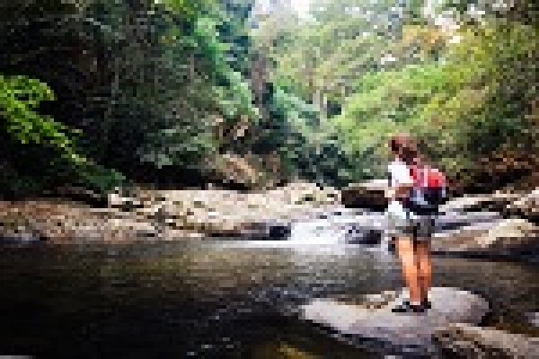 A person with a backpack stands on river rocks, surrounded by a lush forest.