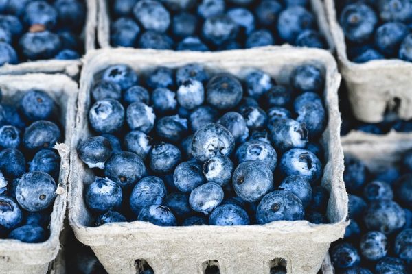 Fresh blueberries in small cardboard containers at a market.