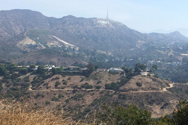 Distant view of the Hollywood sign on a hillside, surrounded by green and brown shrubs under a hazy sky.