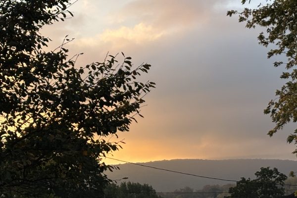 Trees frame a cloudy sunset over distant hills with soft orange light and power lines visible below.