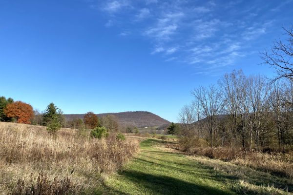 A grassy path leading through an autumn field toward a distant mountain under a clear blue sky.