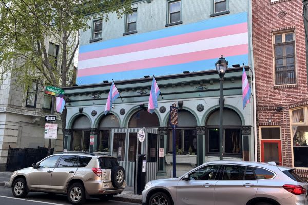 A building facade draped with a large transgender pride flag and three smaller transgender flags.