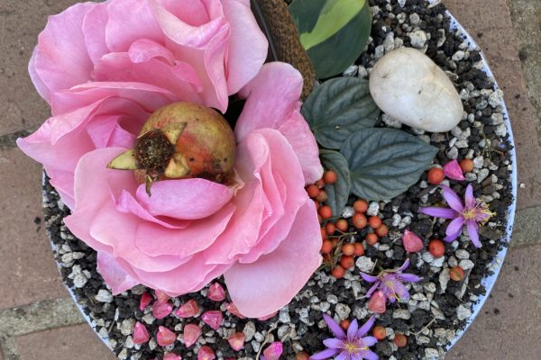 Pink rose petals, a pomegranate, small red berries, and purple flowers arranged on gravel in a circular pattern.