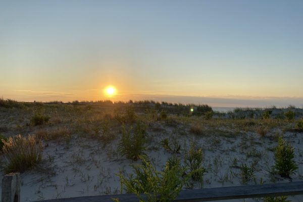 Sunrise over a sandy dune with grass and plants, clear sky, and calm ocean in the distance.