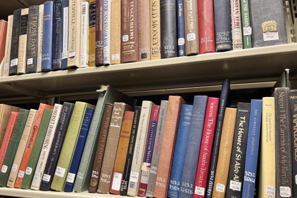 Two shelves of assorted colorful library books with call numbers on their spines, all arranged upright.