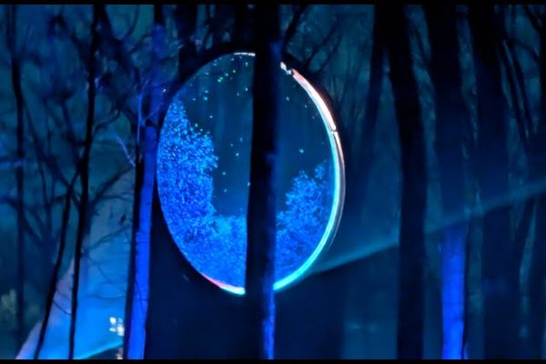 A glowing circular portal emits blue light among trees in a dark, foggy forest.