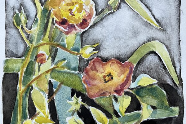 orange and yellow flowers on a blue backdrop