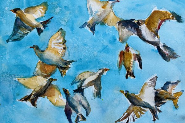 birds fly towards each other against a blue sky