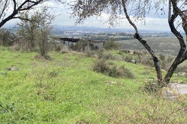 Green meadow with scattered rocks, two trees, ruins of a structure, and a distant city skyline under a cloudy sky.