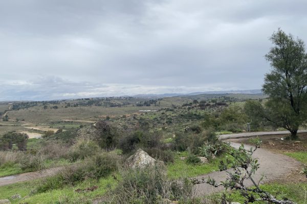 Cloudy sky over a green, rolling landscape with distant hills, trees, and a dirt path in the foreground.