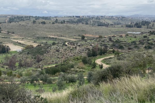 Hilly landscape with winding dirt roads, scattered trees, rocky areas, and cloudy sky in the distance.