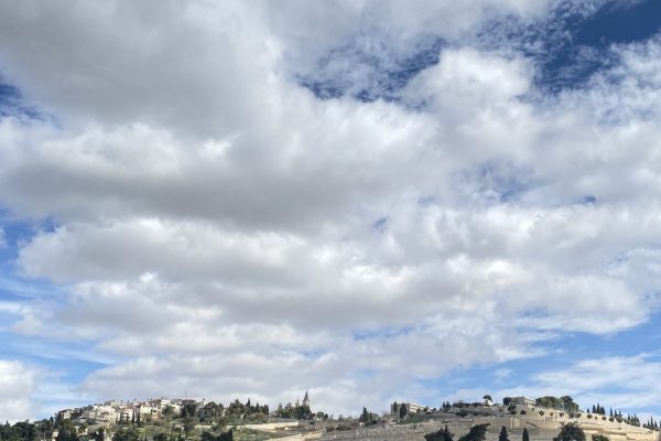 A hillside with stone terraces and green trees under a partly cloudy sky.
