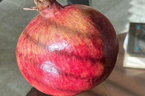 a pomegranate sits on a table, the sun shines on it