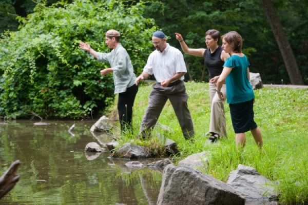 Four people stand by a pond, mimicking tai chi movements in a lush, green park setting.
