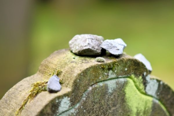 Small stones placed on top of a moss-covered gravestone.