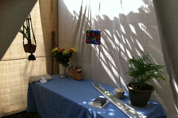 interior of a sukkah with table covered in blue tablecloth and sunlight creating shadows on a white wall