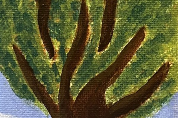 A tall tree with a thick brown trunk and a rounded green leafy top under a blue sky with white clouds.