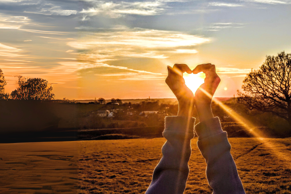 Hands forming a heart shape framing the sun at sunset in a scenic, open field with silhouetted trees.
