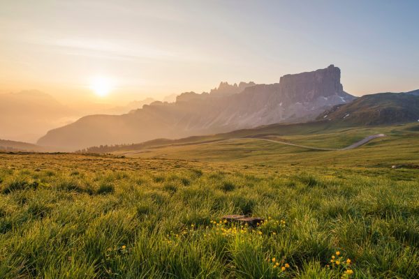 sunlight shining on an open field