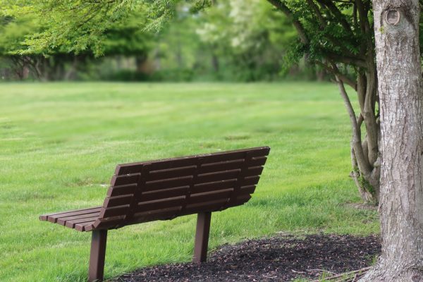 an empty bench facing a wide green lawn