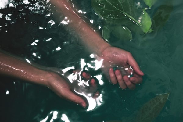Hands submerged in water with green leaves floating nearby.