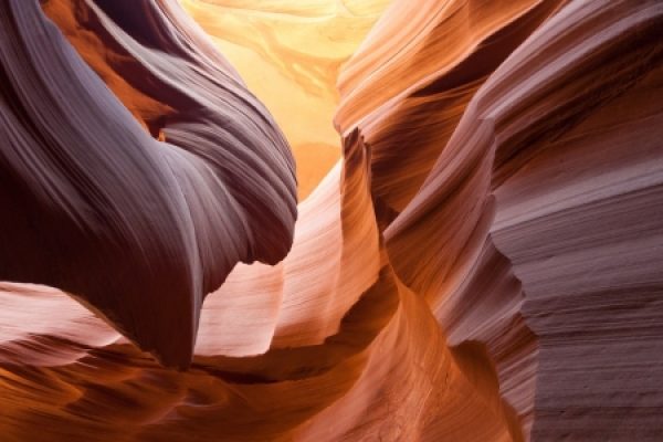 Sunlight illuminates the wavy, textured walls of Antelope Canyon, highlighting shades of orange and red.