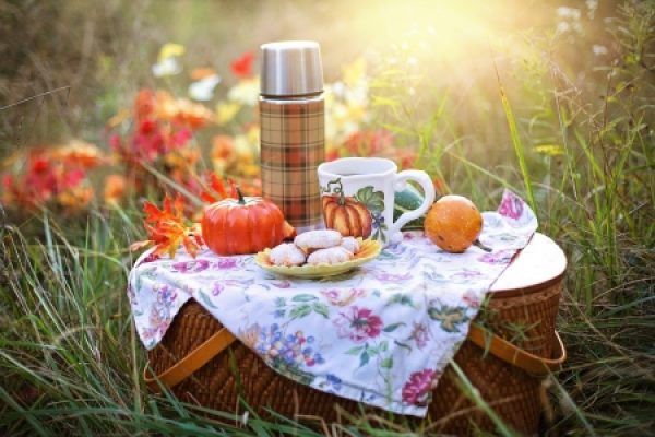 a picnic basket in a field of grass and flowers, on top is a thermos, mug, apples, and cookies.