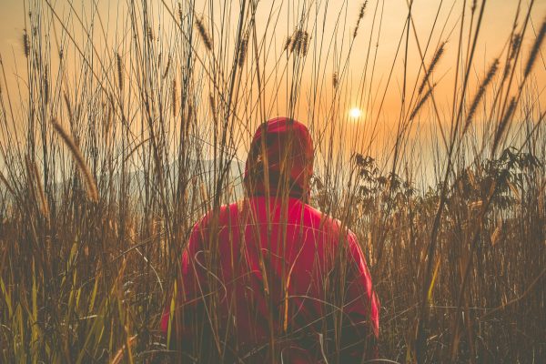 person in red hoodie walking through field of tall wheat looking out to sunset in the distance