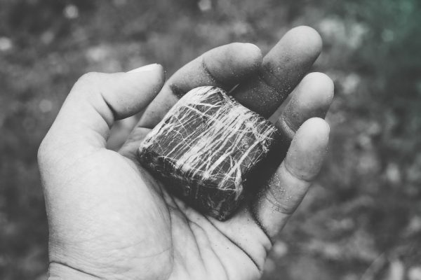 A hand holding a polished, striped stone against a blurred background.