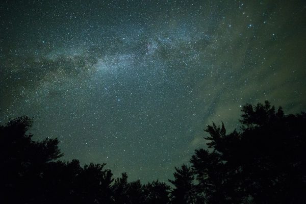 Starry night sky with the Milky Way and silhouettes of trees along the bottom edge.