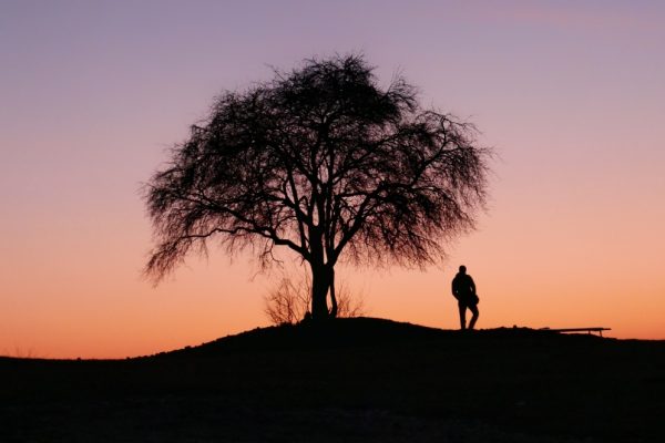 Silhouette of a person standing under a tree against a colorful sunset sky.