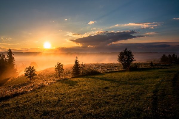 Sunset over a misty landscape with trees and a grassy hill, under a partly cloudy sky.