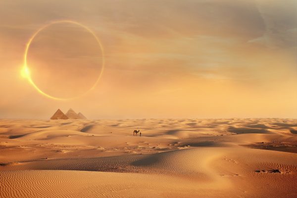 the sun rises over the desert
