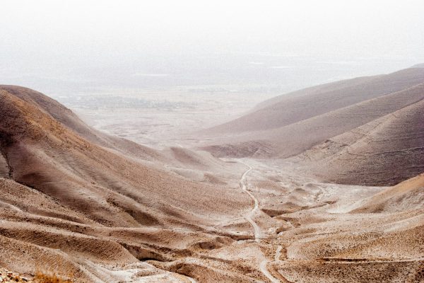 a cloudy sky looms over the desert