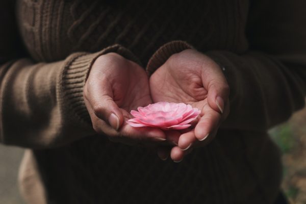 Hands gently holding a pink flower, with a brown textured sweater in the background.