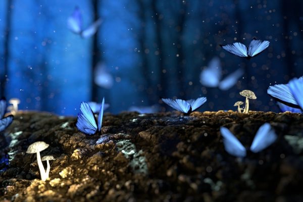 Glowing blue butterflies and small mushrooms in a mystical forest at night.