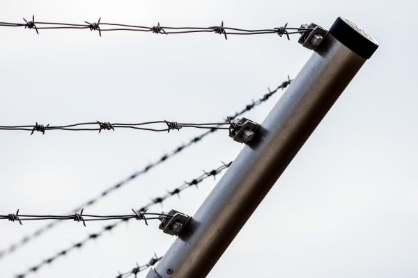 the corner of a barbed-wire fence