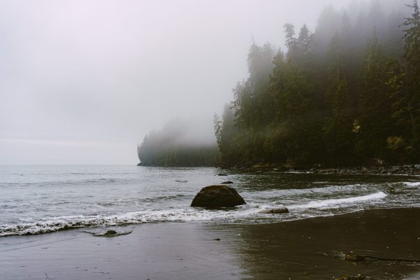 a pacific beach with a line of trees and a large rock