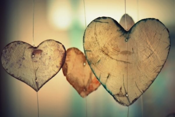 Three heart-shaped leaves hanging from strings against a blurred background, each leaf showing natural imperfections.