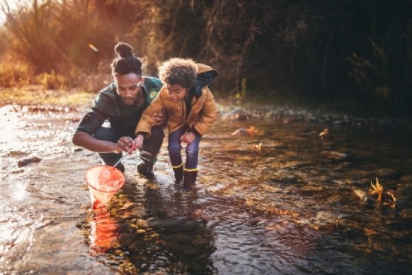 A father and child catching fish with a net in a shallow stream on a sunny day.