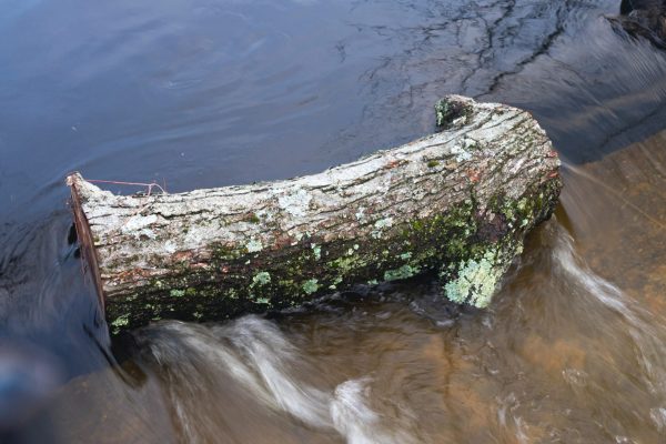 water rolls through a log