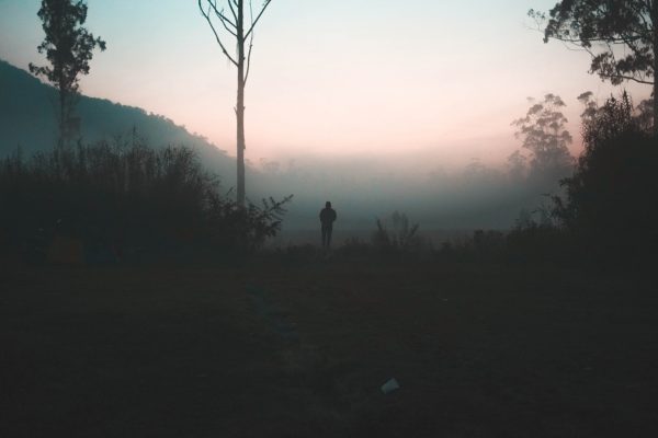 Silhouette of a person standing in a foggy landscape with trees and mountains during sunrise or sunset.