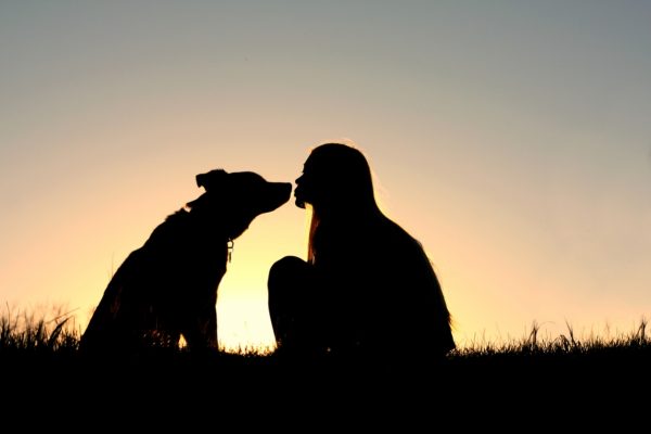 Silhouette of a woman and a dog touching noses at sunset, sitting on grass.